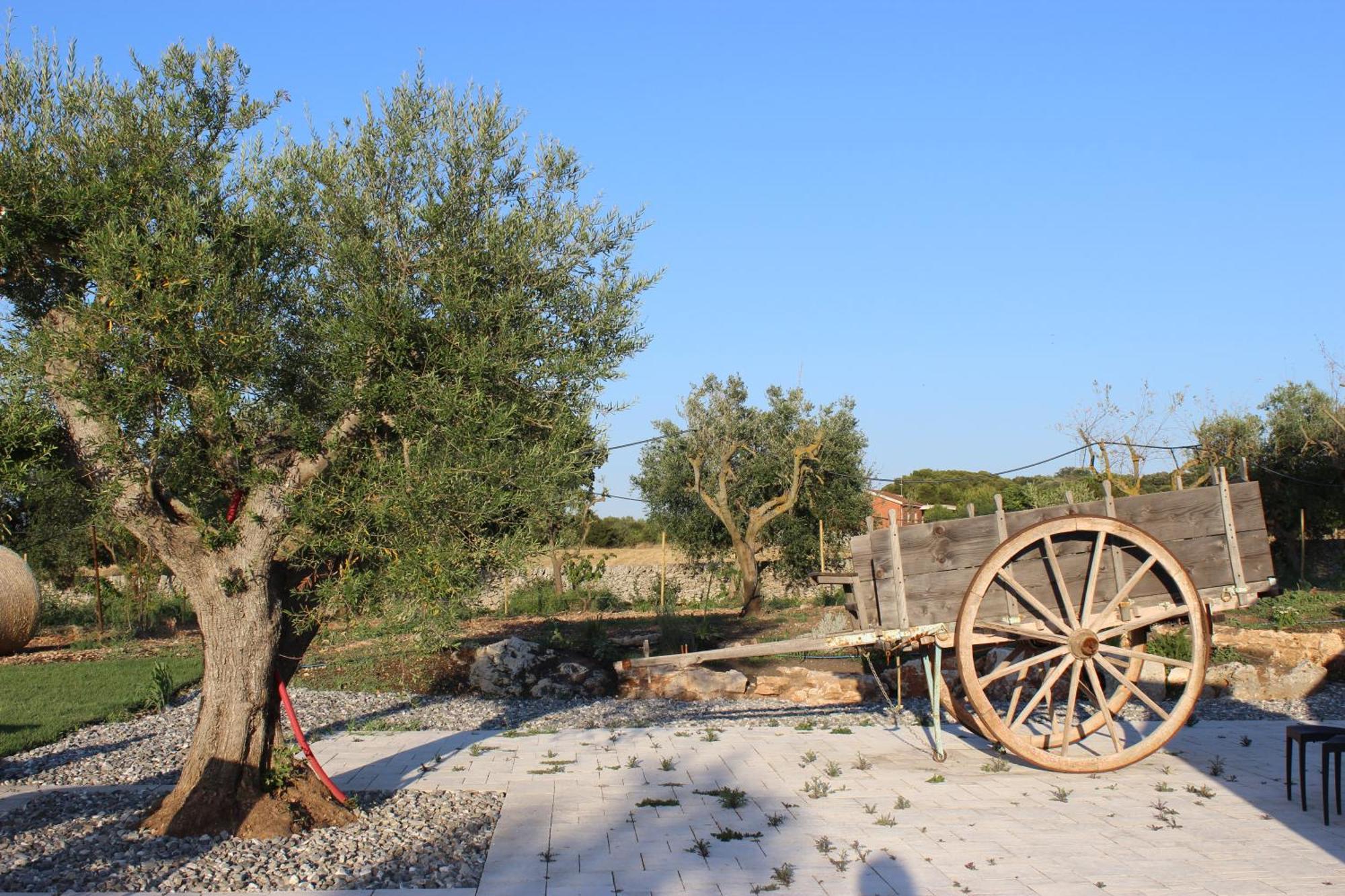 Masseria Stella Джоя-дель-Колле Экстерьер фото